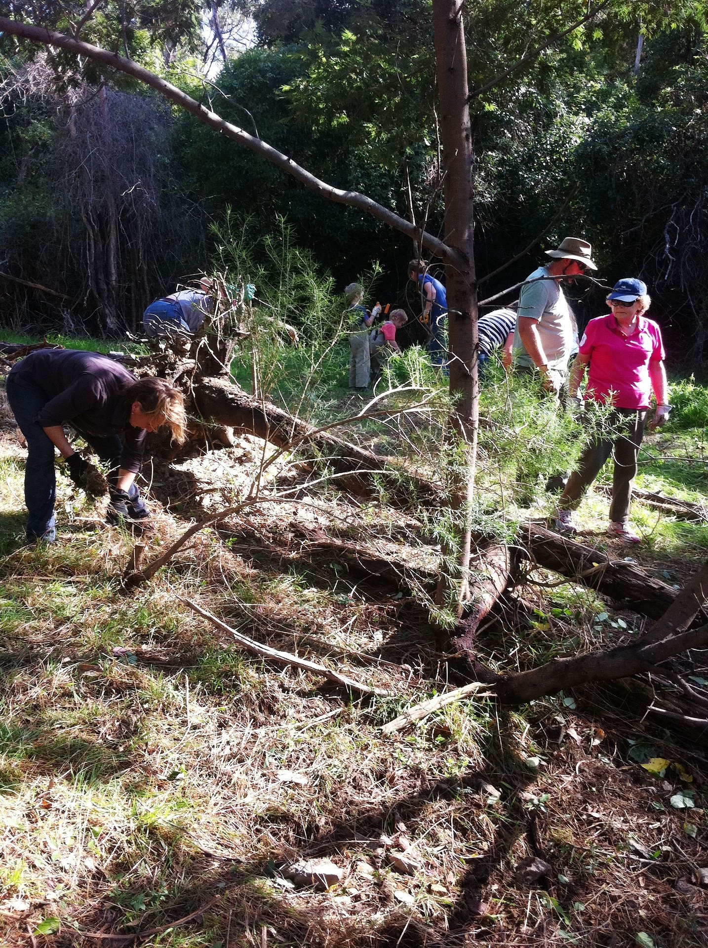 Volunteers at a Panton Hill Bushland Reserve working bee